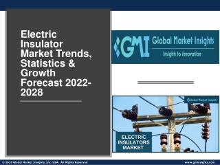 Electric Insulator Market