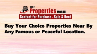 Best property dealers in Mohali