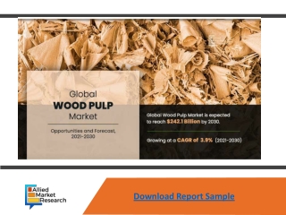 Wood Pulp Market