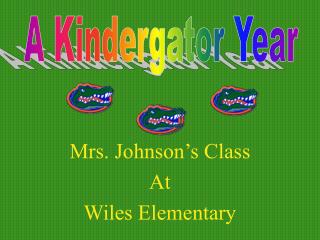 Mrs. Johnson’s Class At Wiles Elementary