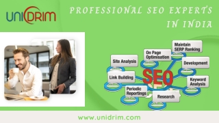 Professional SEO Experts in India