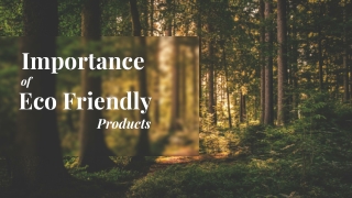 Importance of Eco Friendly Products