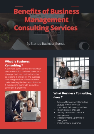 Business Management Consulting Services | Startup Business Bureau