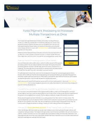 Forex Payment Processing to Processes Multiple Transactions at Once