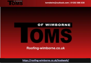 Lead Work Contractor New Forest