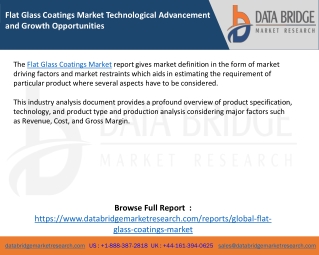 Flat Glass Coatings Market Technological Advancement and Growth Opportunities