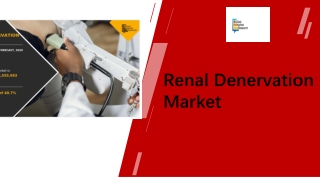 Renal Denervation Market Size & Share Statistics [2030]
