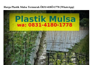Harga Plastik Mulsa Termurah ౦8ᣮI–ᏎI8౦–Iᜪᜪ8(WA)