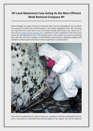 NY Lead Abatement Corp Acting As the Most Efficient Mold Removal Company NY