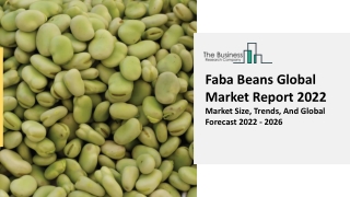 Faba Beans Market Scope, Opportunities And Outlook Forecast To 2031