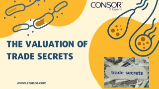 The Valuation Of Trade Secrets | CONSOR IP Consulting & Valuation