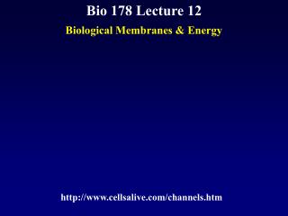 Bio 178 Lecture 12