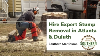 Hire Expert Stump Removal in Atlanta & Duluth