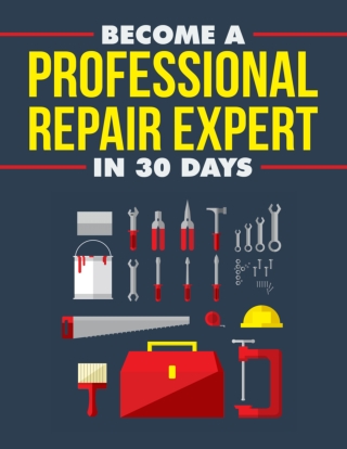 Professional Repair Expert