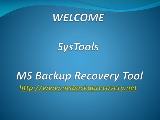 MS Backup Recovery Tool