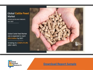 Cattle Feed Market