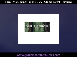 Forest Management in the USA - Global Forest Resources
