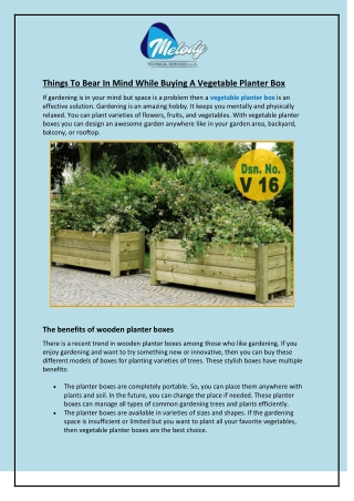 Things To Bear In Mind While Buying A Vegetable Planter Box