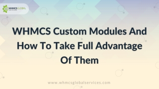 WHMCS Custom Modules And How To Take Full Advantage Of Them