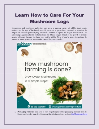 Learn How to Care For Your Mushroom Logs