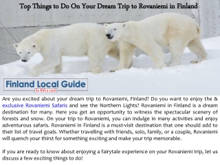 Top Things to Do On Your Dream Trip to Rovaniemi in Finland