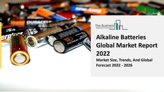 Alkaline Batteries Market Segmentation, Key Insights And Objectives Forecast