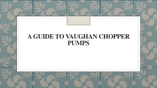 A Guide to Vaughan Chopper Pumps