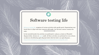 Software testing life