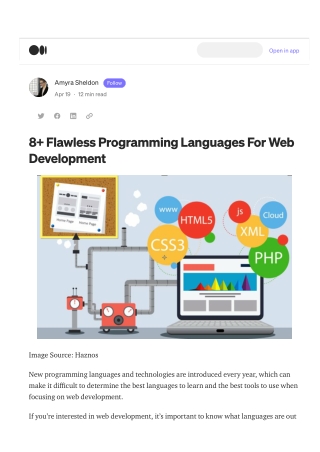 8  Flawless Programming Languages For Web Development