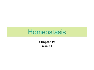 Homeostasis (part 1):  Intro to homeostasis