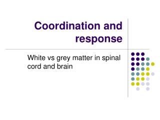 The Nervous System (part 3): Reflex action