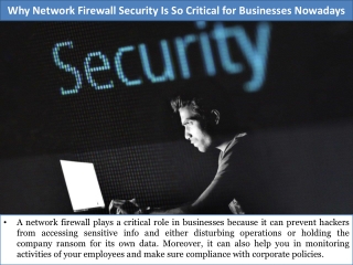 Why Network Firewall Security Is So Critical for Businesses Nowadays