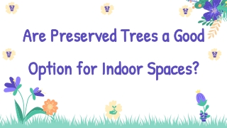 Are Preserved Trees a Good Option for Indoor Spaces