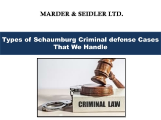 Types of Schaumburg Criminal defense Cases That We Handle