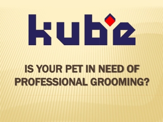 Is Your Pet In Need Of Professional Grooming