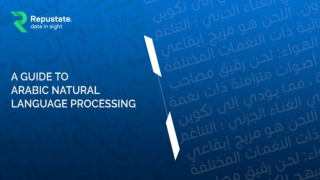 A Guide to Arabic Natural Language Processing