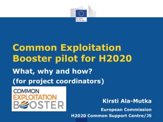 Common Exploitation Booster pilot for H2020
