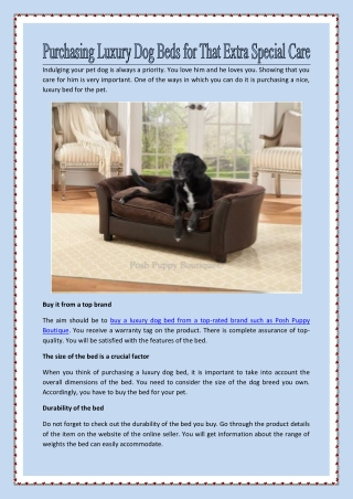 Purchasing Luxury Dog Beds for That Extra Special Care