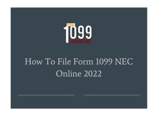 1099 NEC Instructions - Printable 1099 NEC