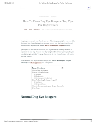 How To Clean Dog Eye Boogers_ Top Tips For Dog Owners