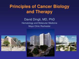 Principles of Cancer Biology and Therapy