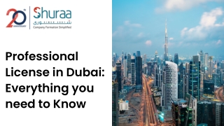 Professional Business License in Dubai