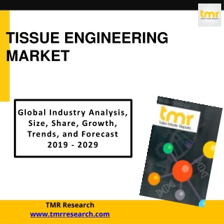 Tissue Engineering and Its Growth Dynamics