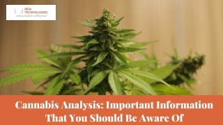 Cannabis Analysis: Important Information