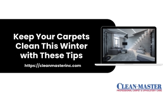 Keep Your Carpets Clean This Winter with These Tips