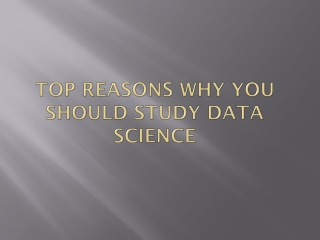 Top Reasons Why You Should Study Data Science