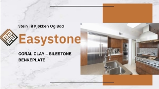 CORAL CLAY – SILESTONE BENKEPLATE