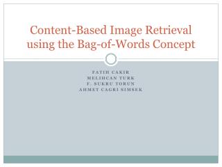 Content-Based Image Retrieval using the Bag-of-Words Concept