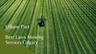 Best Lawn Mowing Services Calgary!