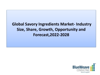 Savory Ingredients Market during Forecast Period 2022-2028